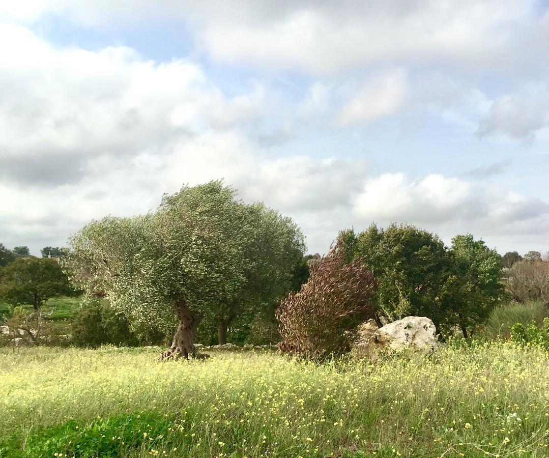 Podere Papilio Альберобелло Экстерьер фото