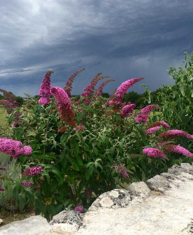 Podere Papilio Альберобелло Экстерьер фото