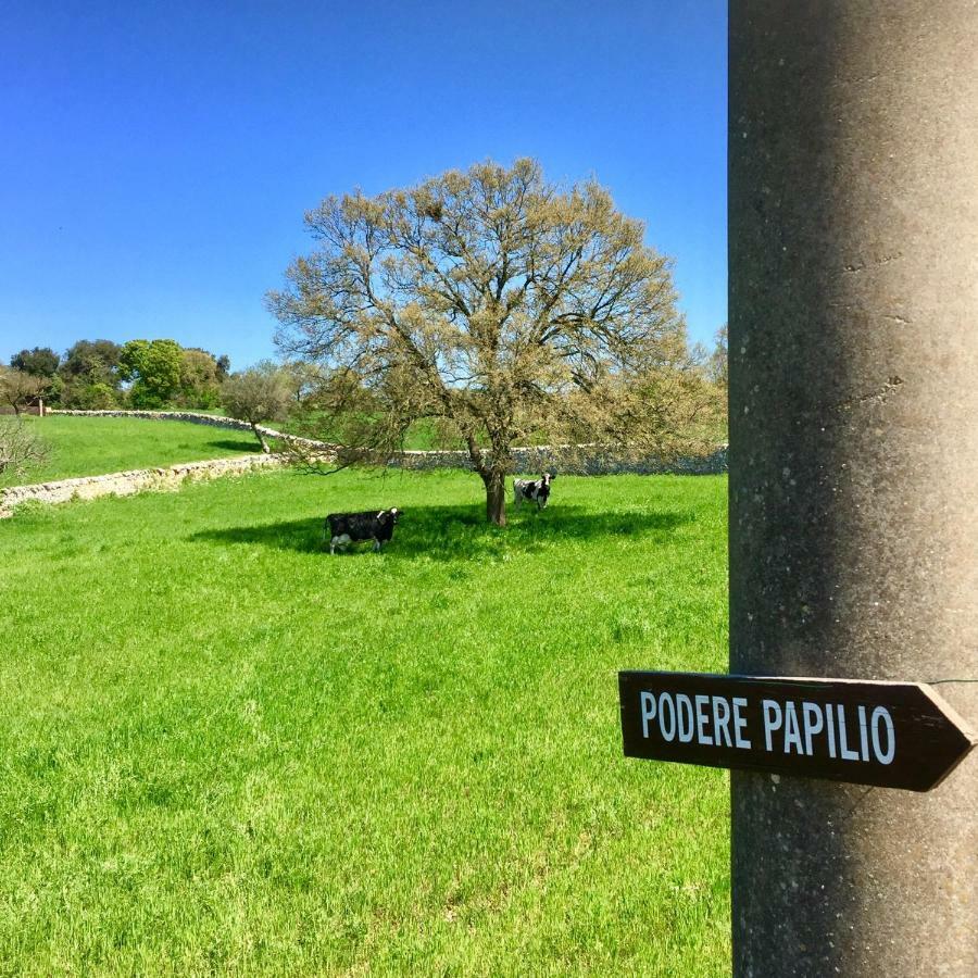 Podere Papilio Альберобелло Экстерьер фото