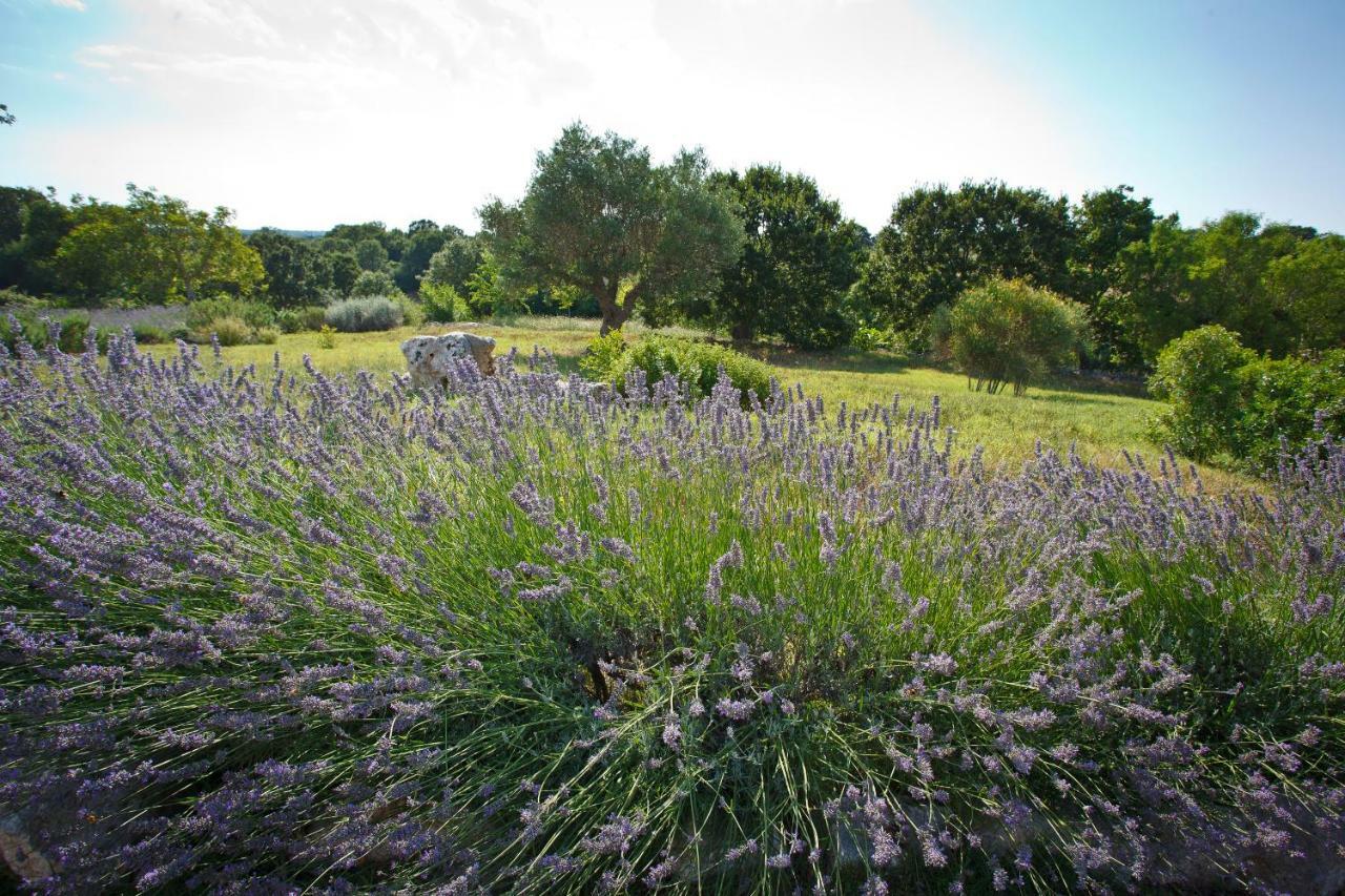 Podere Papilio Альберобелло Экстерьер фото